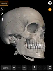 squelette anatomie 3d iPad Captures Décran 3