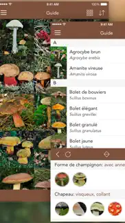 champignons lite iPhone Captures Décran 3