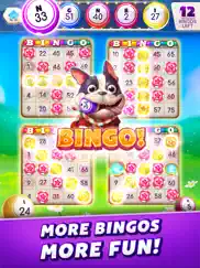 myvegas bingo - bingo games ipad images 1