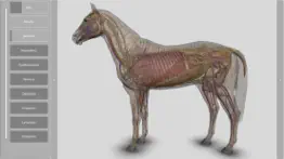 3d horse anatomy software iphone bildschirmfoto 4