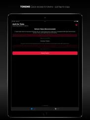 auth app for tesla ipad images 2