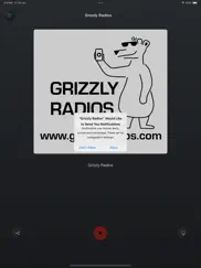grizzly radios ipad images 3