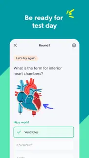 quizlet: ai-powered flashcards iphone images 4