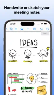 meeting notes - pdf, summaries iphone images 1