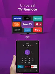tv remote - universal control ipad images 1