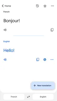 google translate iphone images 3