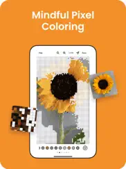 colorscape - ai ipad images 3