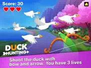 duck hunting - bird simulator ipad images 1