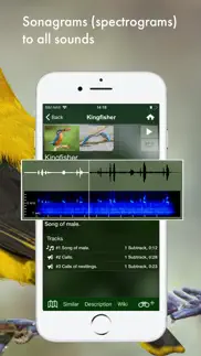 bird songs europe north africa iPhone Captures Décran 2