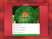 wild berries and herbs lite ipad capturas de pantalla 4