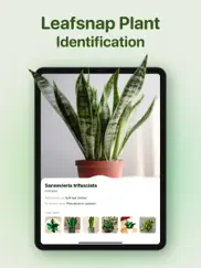 plant identifier ai - plant id iPad Captures Décran 4