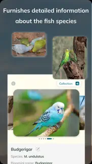 bird detect iPhone Captures Décran 4