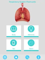 respiratory system flashcards ipad images 1