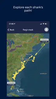 ocearch shark tracker iphone images 2
