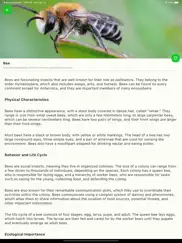 bug identifier - insect finder ipad images 2