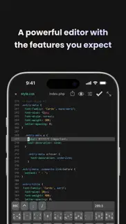buffer editor - code editor iphone capturas de pantalla 2