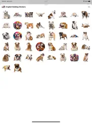english bulldog stickers ipad capturas de pantalla 1