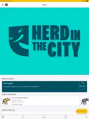 herd in the city 2023 ipad resimleri 1
