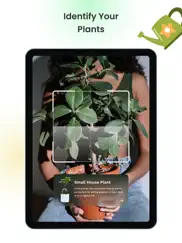plant app - plant identifier айпад изображения 2