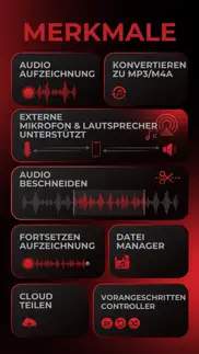 audio recorder pro und editor iphone bildschirmfoto 2