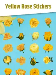 yellow rose stickers ipad images 3