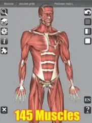 3d anatomy learning iPad Captures Décran 2