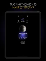 moon manifestation diary ipad images 2