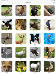 animal sounds voice effects ipad resimleri 2