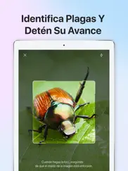 picture insect - insectos id ipad capturas de pantalla 4