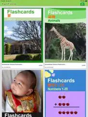 chinese flashcards lite ipad images 1