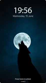 wolf live wallpapers 4k iphone images 3