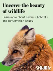 bbc wildlife magazine ipad resimleri 1