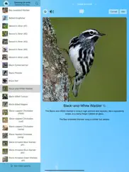 chirp! bird songs & calls usa ipad images 1