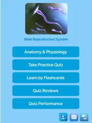 male reproductive system ipad images 1