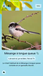 cui-cui! chants d'oiseaux iPhone Captures Décran 2