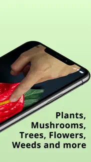 plantion - plant identifier iphone images 2