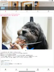 dog grooming cure ipad images 1