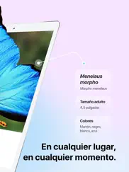 picture insect - insectos id ipad capturas de pantalla 2