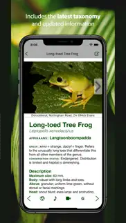 frogs of southern africa iphone images 2