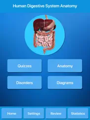 digestive system physiology ipad resimleri 1