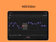 sand: sequencer for auv3, midi ipad images 2