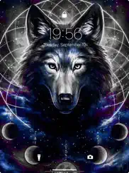 wolf live wallpapers 4k ipad images 3