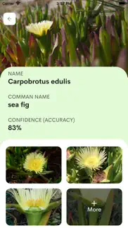 plantix- plant leaf identifier iphone images 4