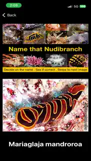 name that nudibranch iphone images 4