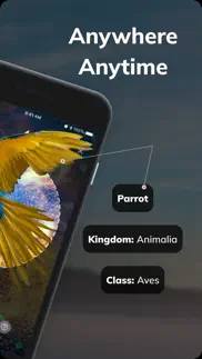 bird detect iPhone Captures Décran 2