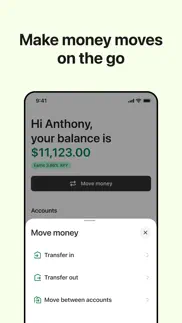 shopify balance iphone images 3