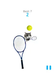 cat tennis battle ipad images 1