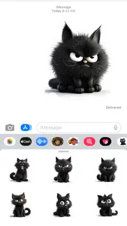 black cat moods iphone images 1