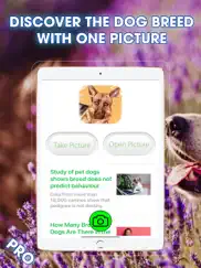 identifiants race de chien pro iPad Captures Décran 1