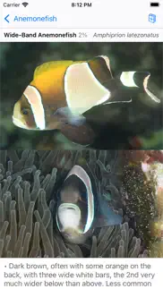 lord howe fish id iPhone Captures Décran 3